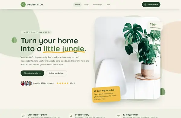 Verdant & Co. — a website we built