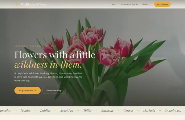 Wildflower & Wren — a website we built